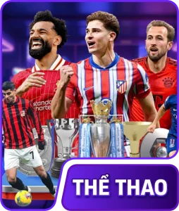 the-thao-h19